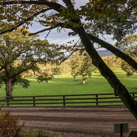 Ballybeg Pod 5 آركلو