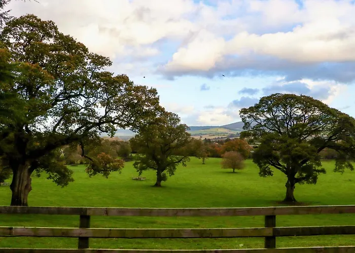 Ballybeg Pod 5 Ferienhaus