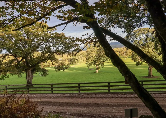 Ballybeg Pod 5 Arklow